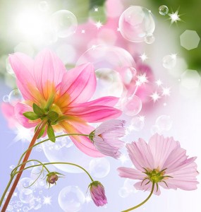 Fotooboi Cvety (126)